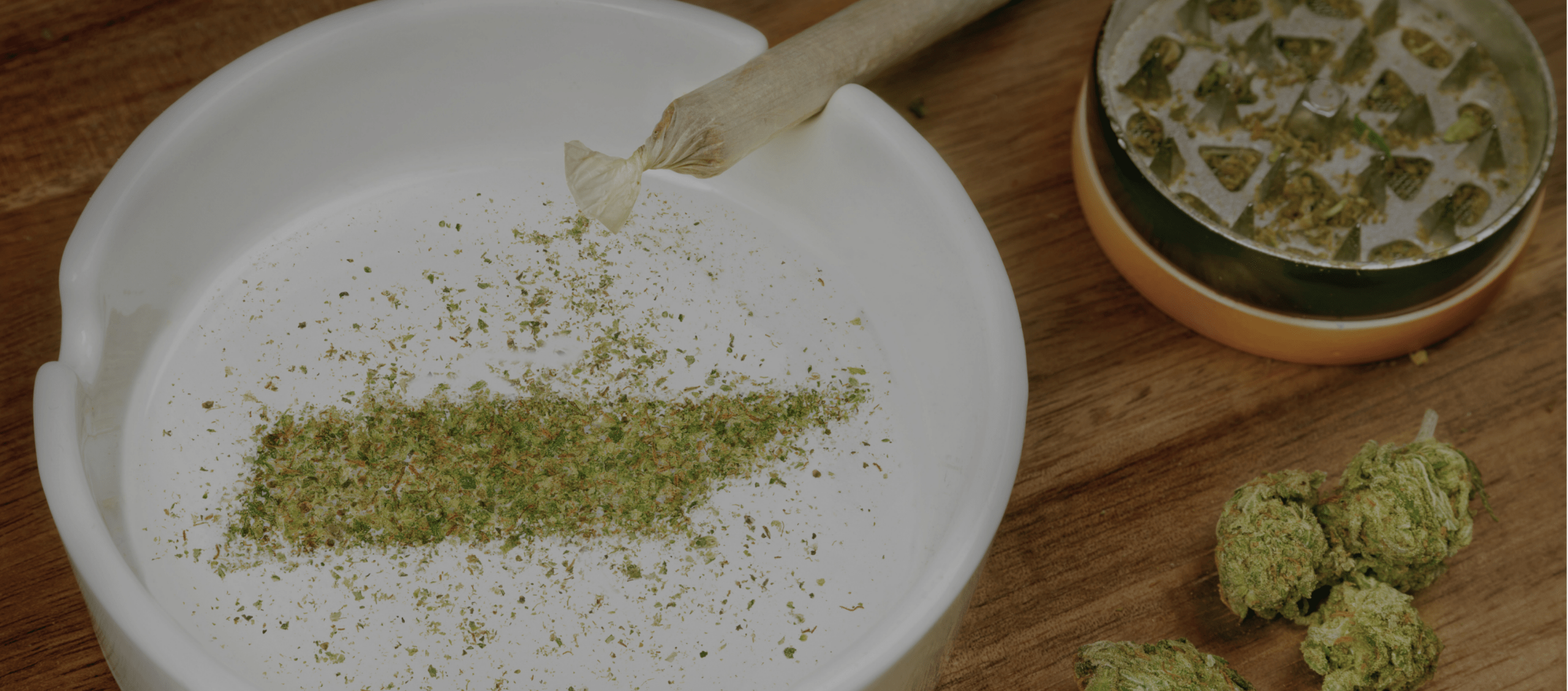 Is RealBudz Legit? Here’s Everything You Should Know