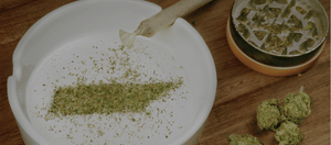 Is RealBudz Legit? Here’s Everything You Should Know