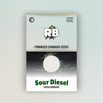 Sour Diesel Feminized Seeds image 0