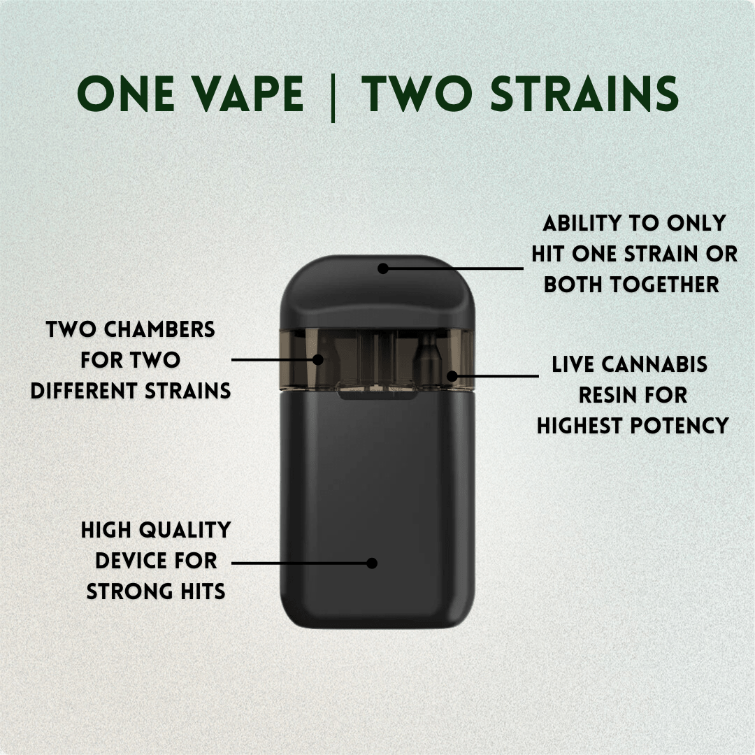 2G Dual Chamber | Blue Dream + Apple Fritter image 1