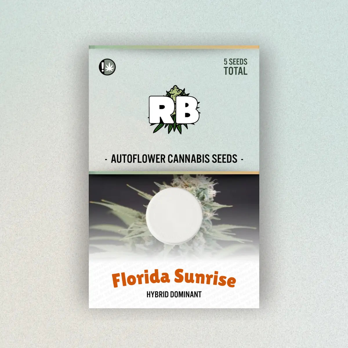 Florida Sunrise Autoflower Seeds image 0