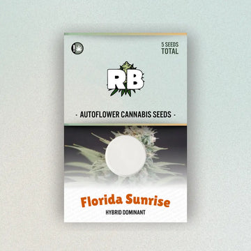 Florida Sunrise Autoflower Seeds image 0