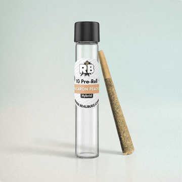 Macaron Peaches Pre-Roll | 1G image 0