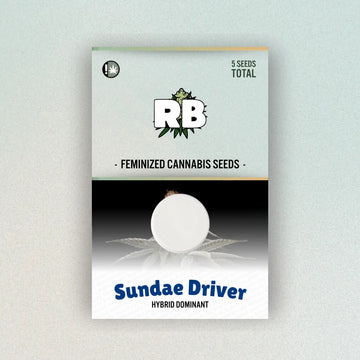 Sundae Driver Feminized Seeds image 0