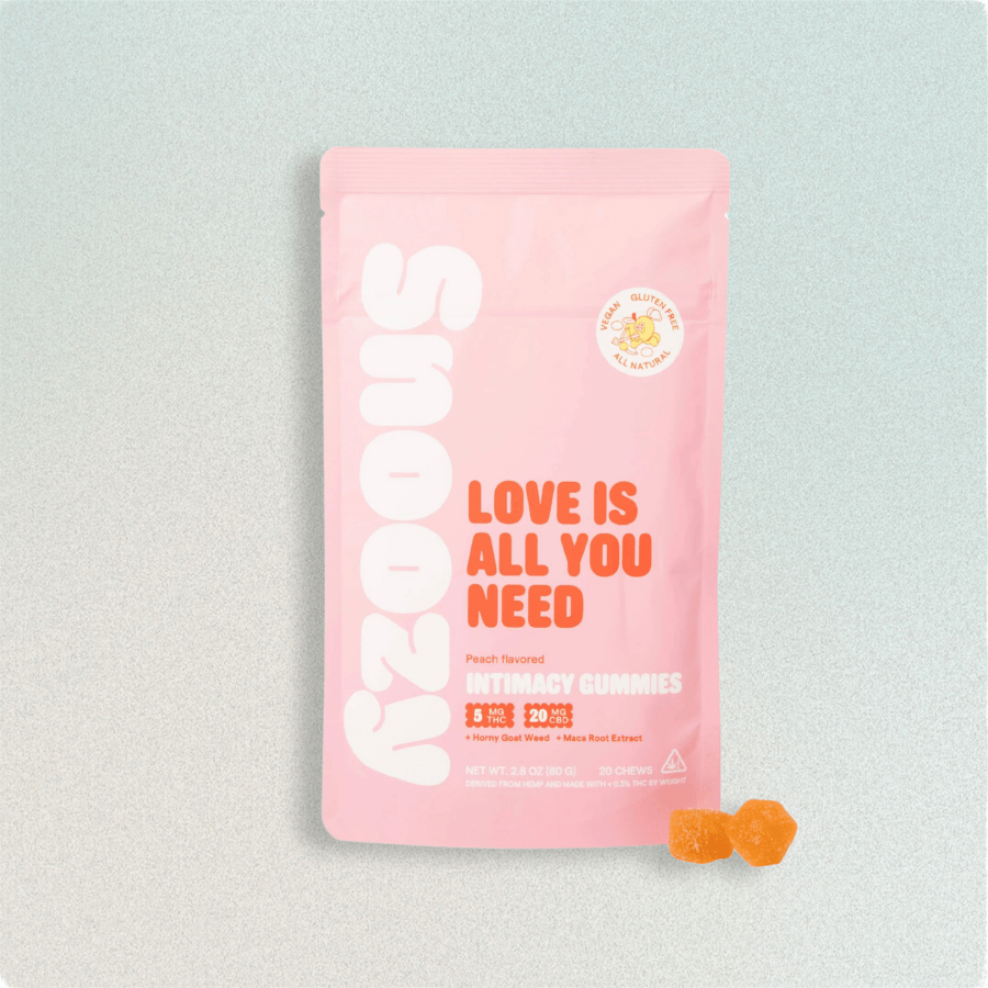 Snoozy | Love Is All You Need image 0