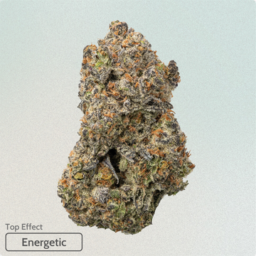 Blueberry Blast