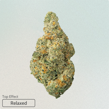 Durban Poison