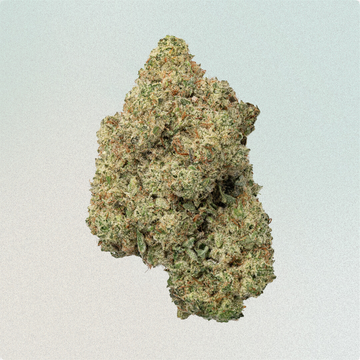 Tangie Sunrise