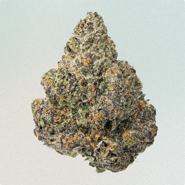 Purple Godfather OG