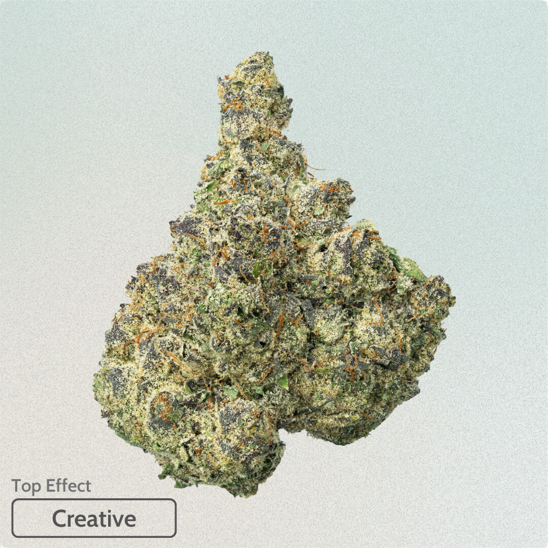 Jack Herer