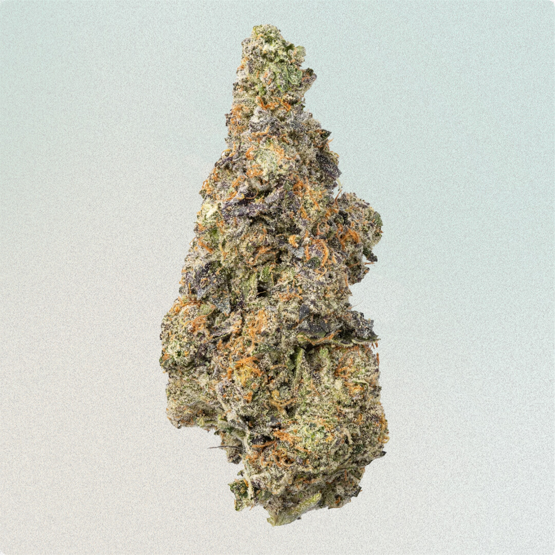 Jack The Ripper