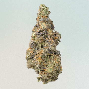 Jack The Ripper