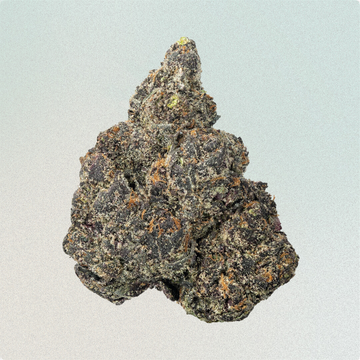 Lava Cake
