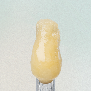 2G Northern Lights Badder by Nicks Nugs | 80.30%