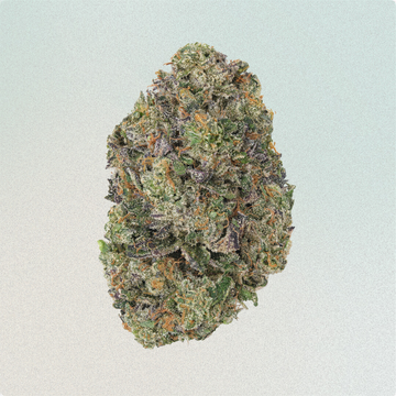 Blueberry Caviar