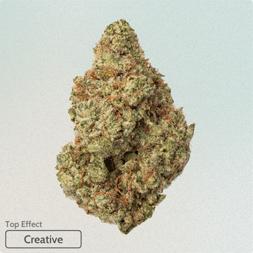Papaya Punch