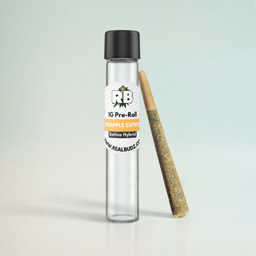 Pineapple Express Pre-Roll | 1G