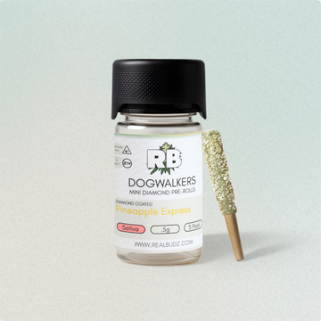 Mini Diamond Dogwalkers | Pineapple Express