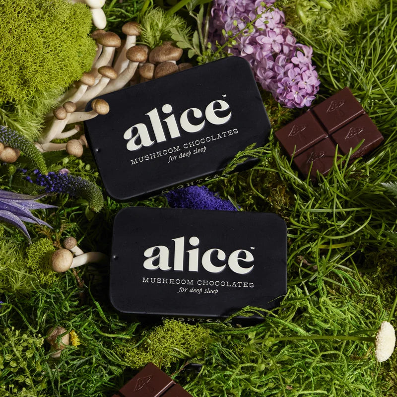 Alice Mushroom Chocolate - Nightcap