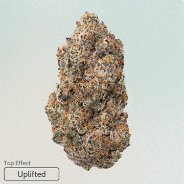 Strawberry Diesel