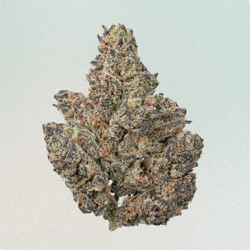 White Chocolate