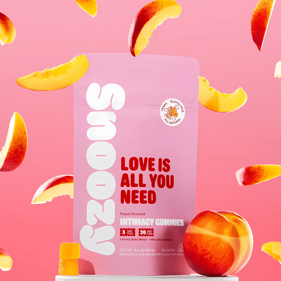 Snoozy | Love Is All You Need image 2