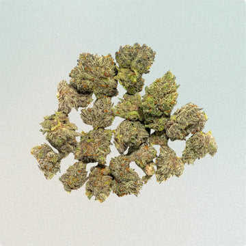 Lip Smacker Smalls image 0