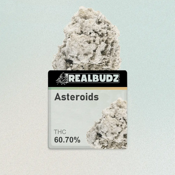 3.5G Asteroids image 0