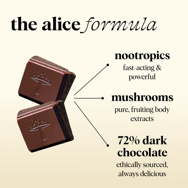 Alice Mushroom Chocolate - Happy Ending Single