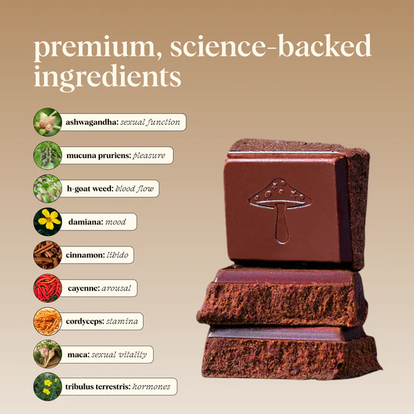 Alice Mushroom Chocolate - Happy Ending Single